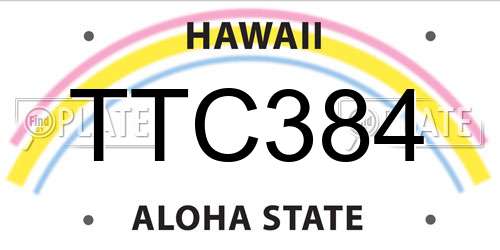 TTC384 Hawaii License Plate