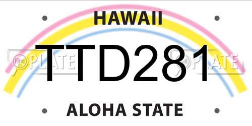 TTD281 Hawaii License Plate