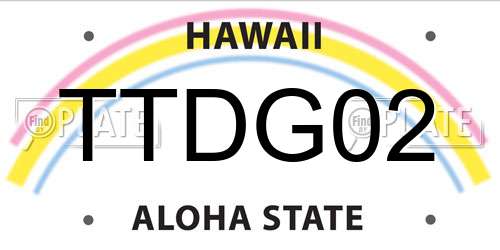 TTDG02 Hawaii License Plate