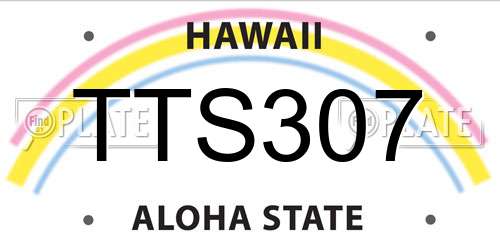 TTS307 Hawaii License Plate