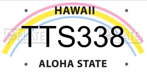 TTS338 Hawaii License Plate