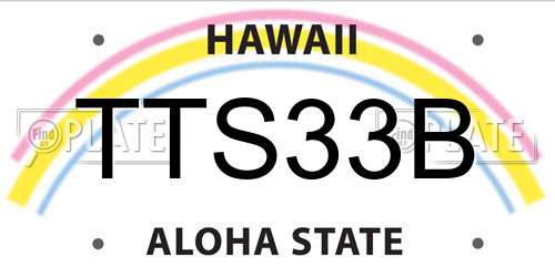 TTS33B Hawaii License Plate