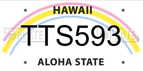 TTS593 Hawaii License Plate