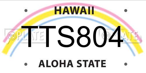 TTS804 Hawaii License Plate