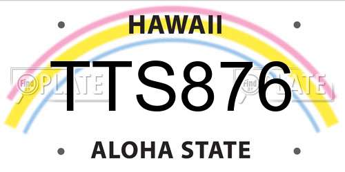 TTS876 Hawaii License Plate