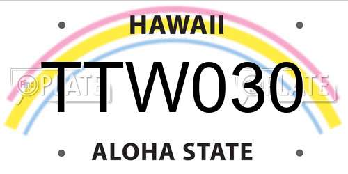 TTW030 Hawaii License Plate