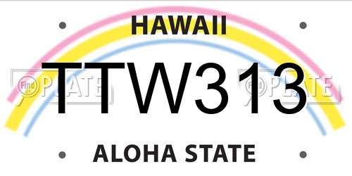 TTW313 Hawaii License Plate