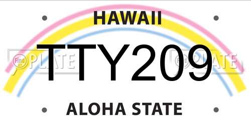 TTY209 Hawaii License Plate