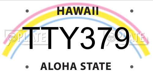 TTY379 Hawaii License Plate