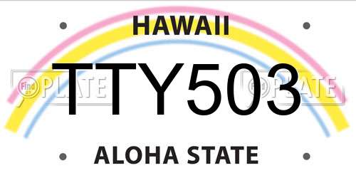 TTY503 Hawaii License Plate