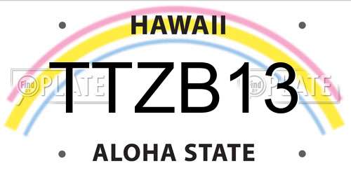 TTZB13 Hawaii License Plate