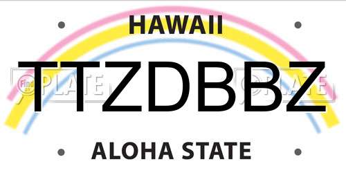 TTZDBBZ Hawaii License Plate