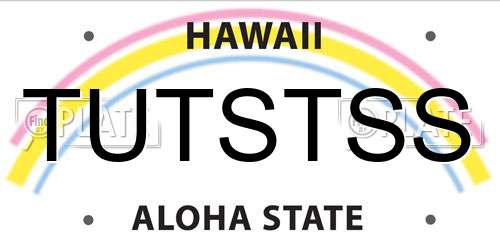 TUTSTSS Hawaii License Plate
