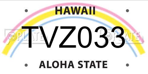 TVZ033 Hawaii License Plate