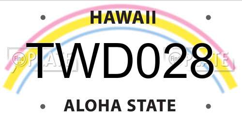 TWD028 Hawaii License Plate