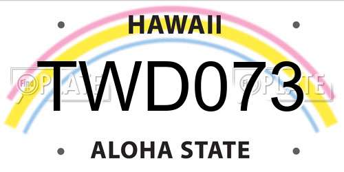 TWD073 Hawaii License Plate