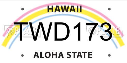 TWD173 Hawaii License Plate