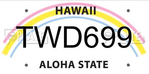 TWD699 Hawaii License Plate