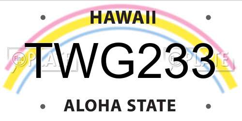 TWG233 Hawaii License Plate