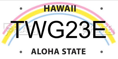 TWG23E Hawaii License Plate
