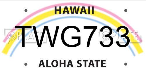 TWG733 Hawaii License Plate