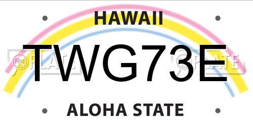 TWG73E Hawaii License Plate