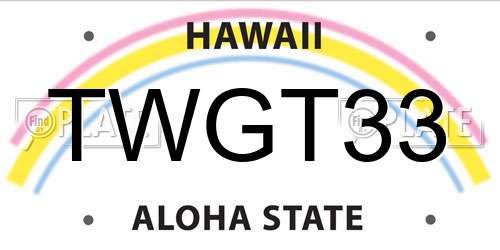 TWGT33 Hawaii License Plate