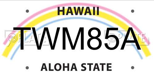 TWM85A Hawaii License Plate