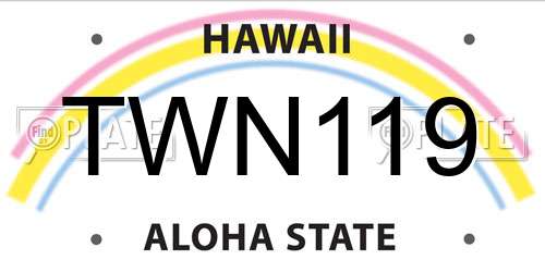 TWN119 Hawaii License Plate