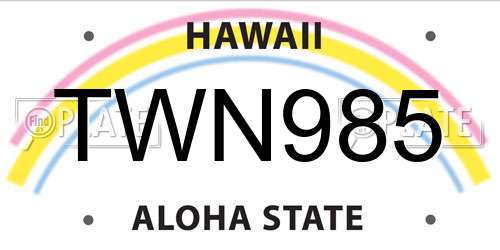 TWN985 Hawaii License Plate