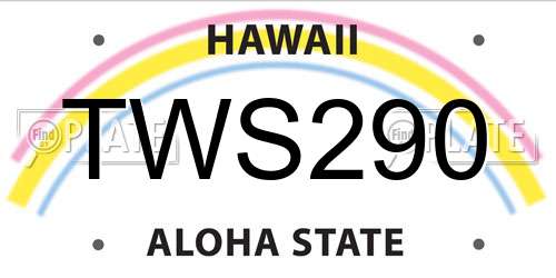 TWS290 Hawaii License Plate