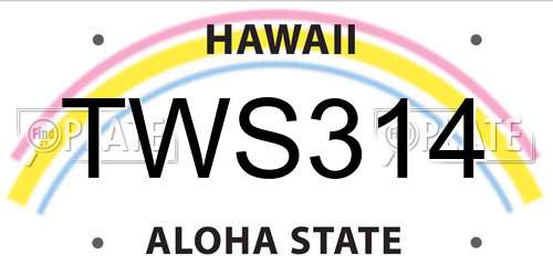 TWS314 Hawaii License Plate