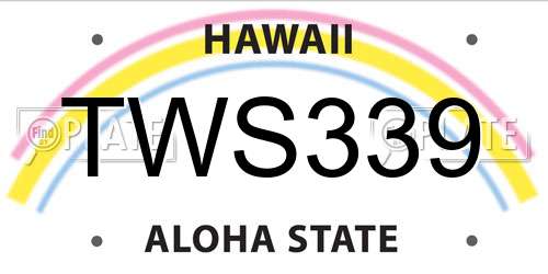 TWS339 Hawaii License Plate