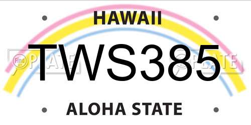 TWS385 Hawaii License Plate