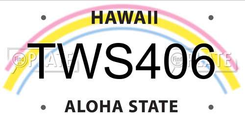 TWS406 Hawaii License Plate