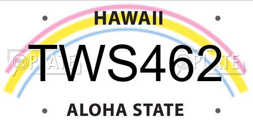 TWS462 Hawaii License Plate