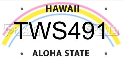 TWS491 Hawaii License Plate