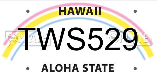 TWS529 Hawaii License Plate