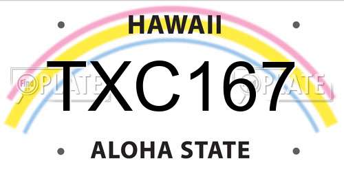 TXC167 Hawaii License Plate