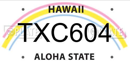 TXC604 Hawaii License Plate