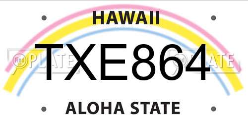 TXE864 Hawaii License Plate