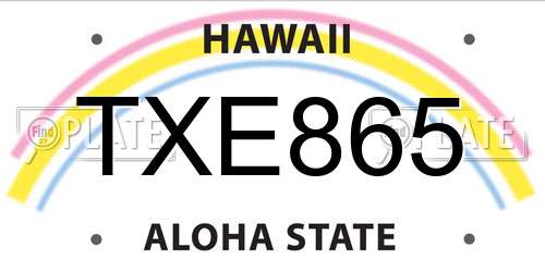 TXE865 Hawaii License Plate