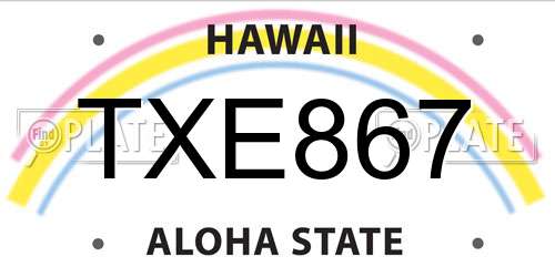 TXE867 Hawaii License Plate