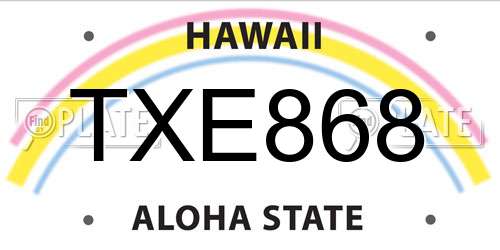 TXE868 Hawaii License Plate