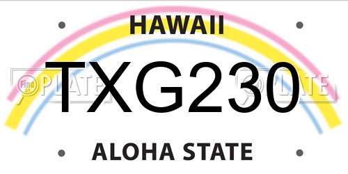 TXG230 Hawaii License Plate