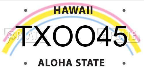TXOO45 Hawaii License Plate