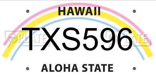 TXS596 Hawaii License Plate