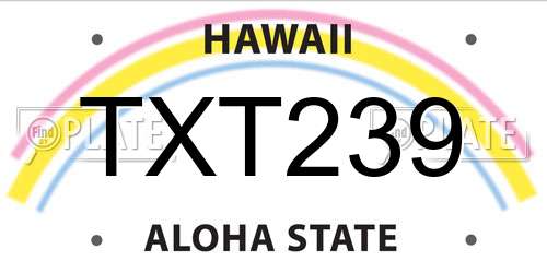 TXT239 Hawaii License Plate