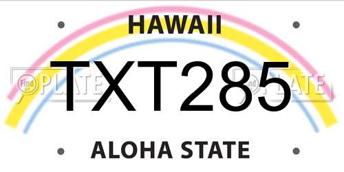 TXT285 Hawaii License Plate