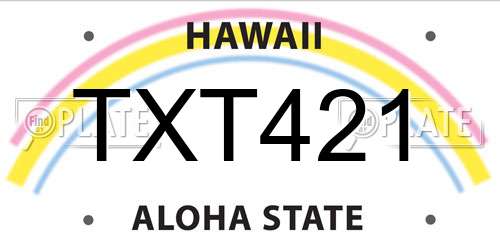 TXT421 Hawaii License Plate